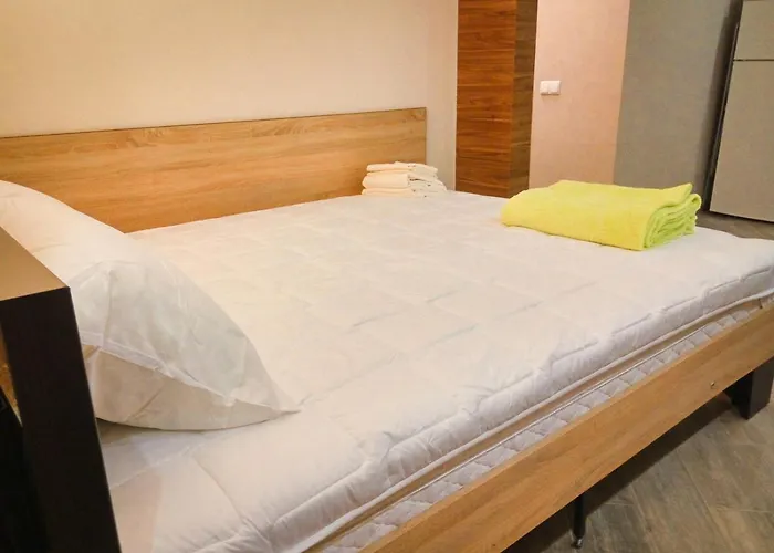 Luxury Loft В Центре Полтавы
